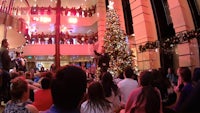 a group of people sitting in front of a christmas tree